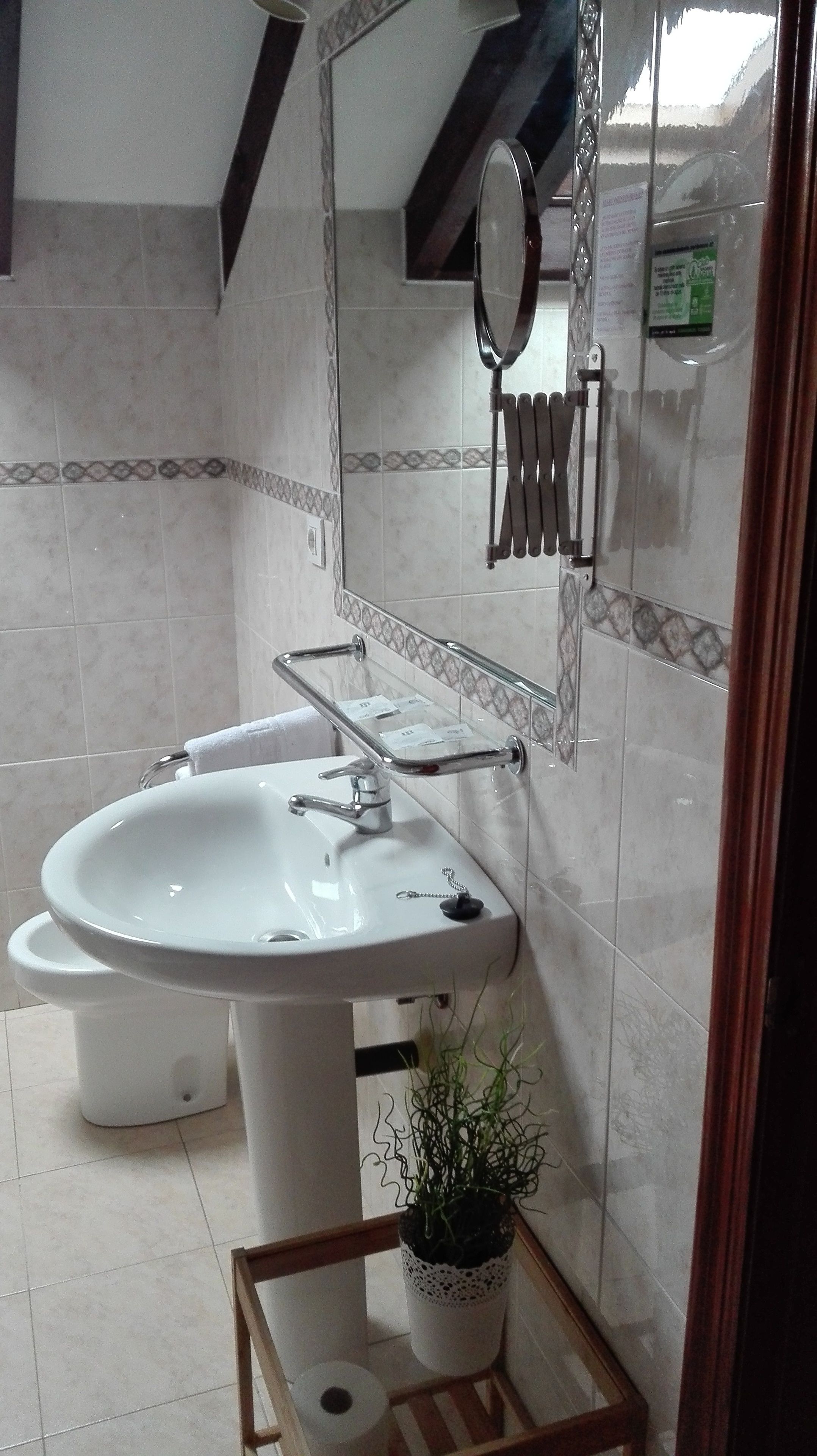 A bathroom with a white sink, a toilet, a mirror, and a potted plant.