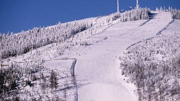 Pista de esquí cubierta de nieve, con árboles y telesillas.