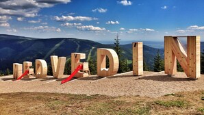 Wooden letters spelling "REDWOOD" on a hill with a forest and mountains in the background. - Hotel Tři růže (Spindleruv Mlyn)