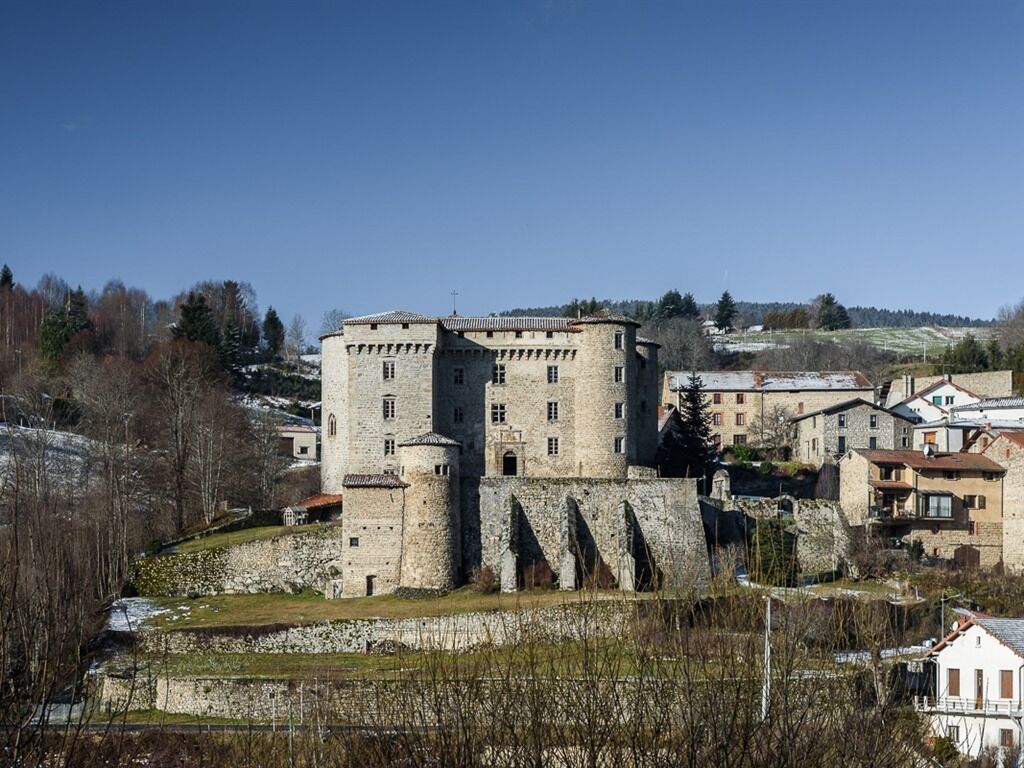 A historic stone castle with a central tower, surrounded by residential buildings.