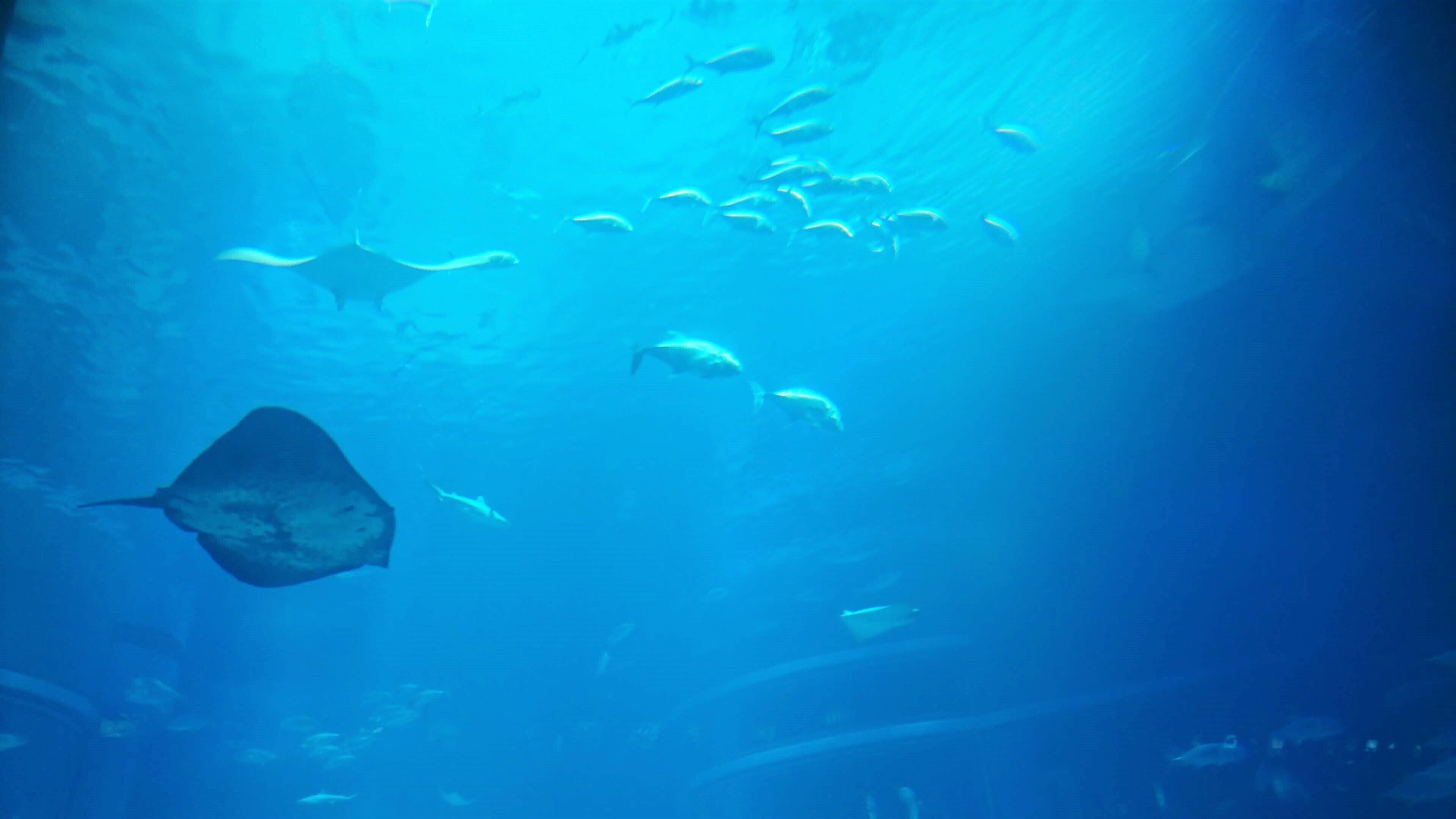 Photo - Toyoko Inn Osaka Semba Higashi