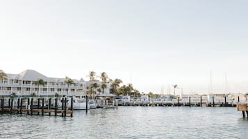 Una marina con barche ormeggiate, un hotel sul lungomare con balconi e palme sullo sfondo.