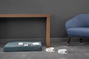 Una habitación con una pared gris oscuro, una mesa de madera, una silla azul y una cama para mascotas con un cojín verde.