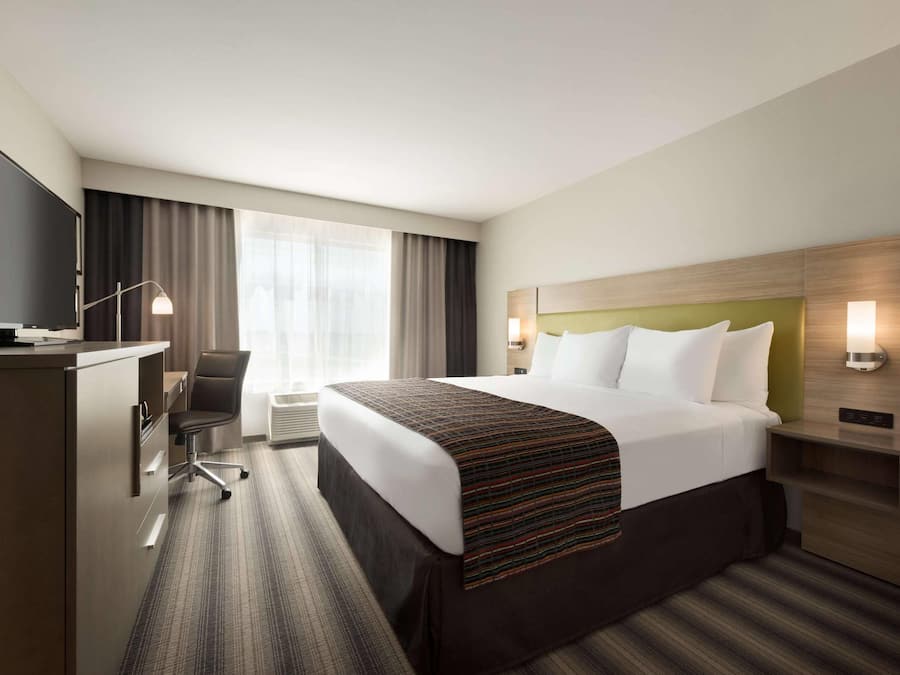 Camera, 1 letto king, non fumatori | Una scrivania, ferro/asse da stiro, Wi-Fi gratuito