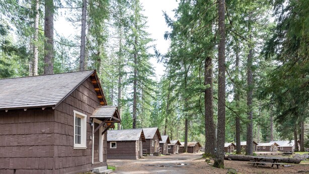 A row of cabins in a forest, with a gravel path leading to them.