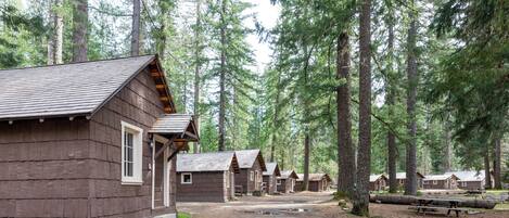 A row of cabins in a forest, with a gravel path leading to them.