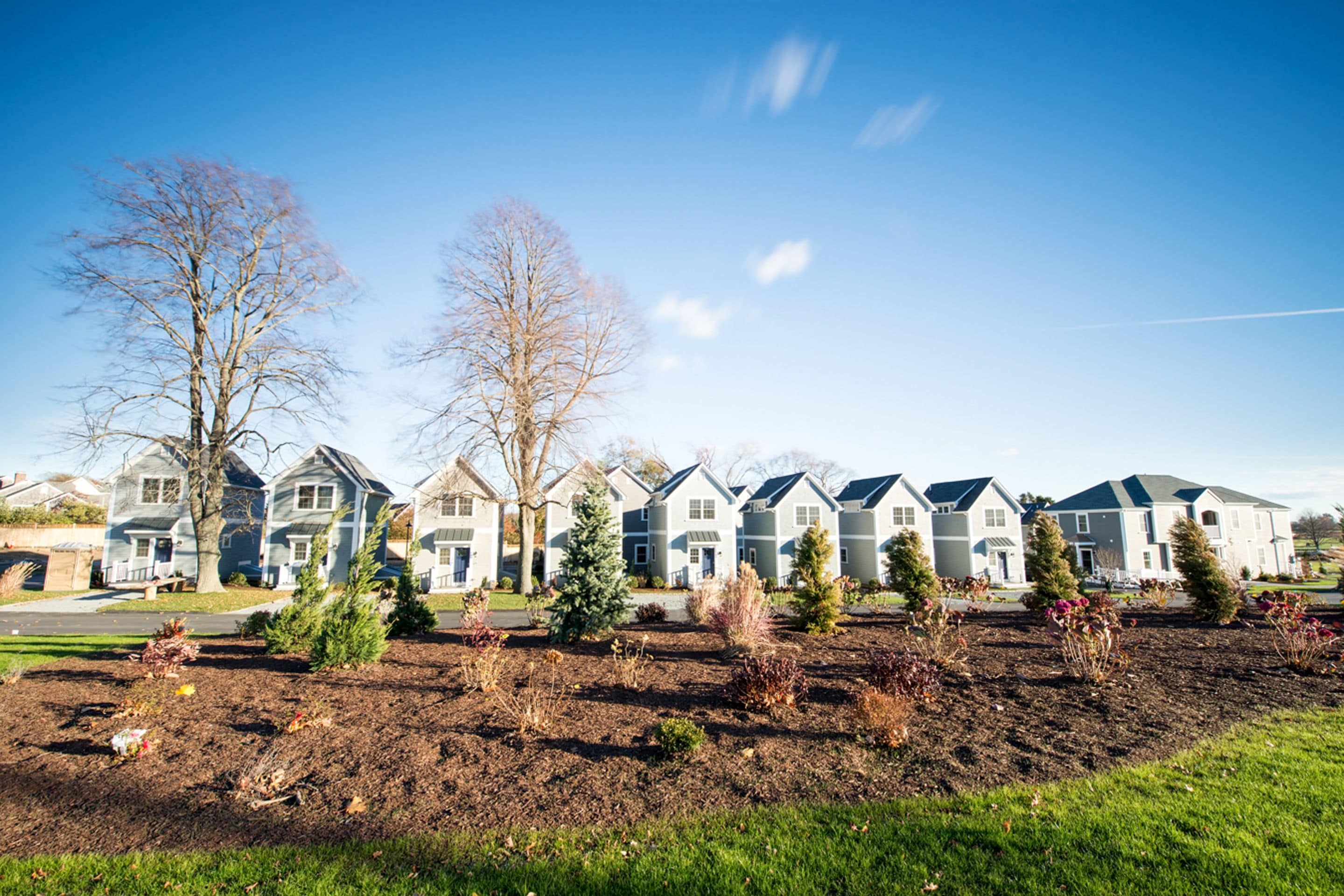 A row of modern houses with a well-maintained lawn and trees in front.