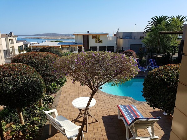 Outdoor pool, pool loungers