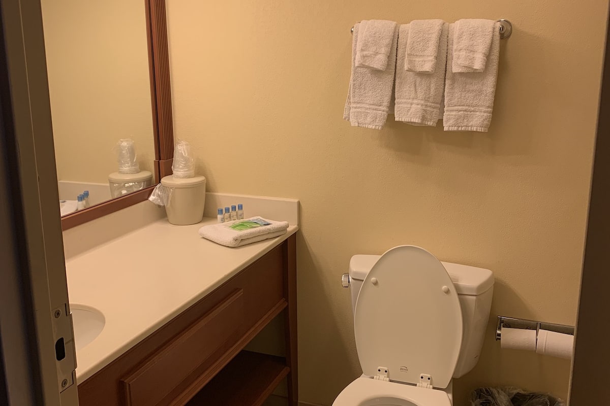 combined shower/bathtub, free toiletries, hair dryer, towels