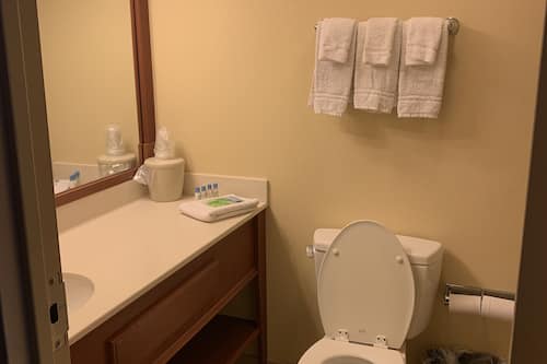 Combined shower/tub, free toiletries, hair dryer, towels