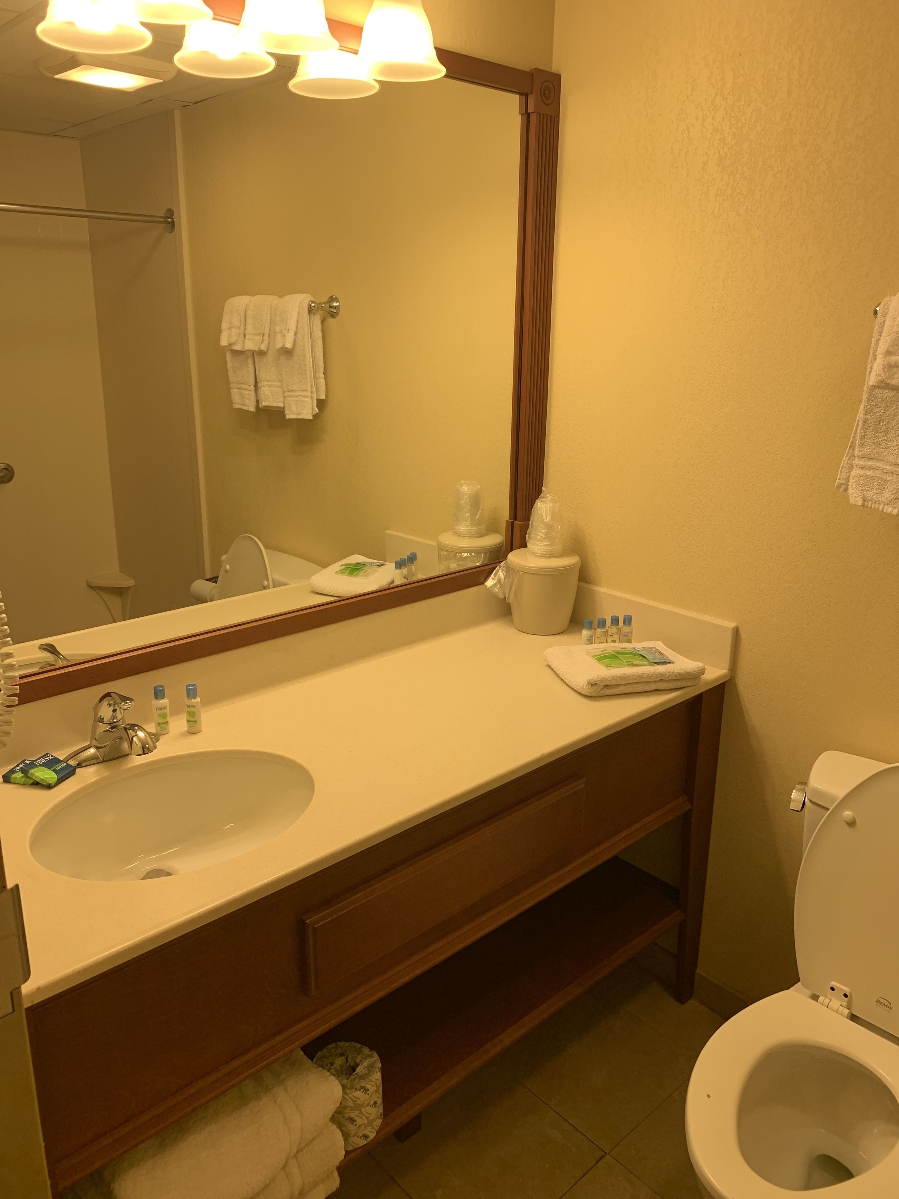 combined shower/bathtub, free toiletries, hair dryer, towels