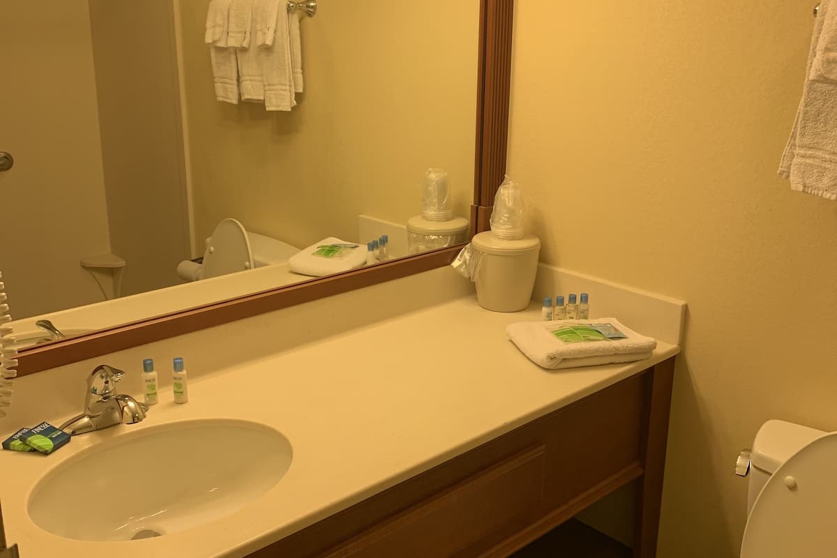 combined shower/bathtub, free toiletries, hair dryer, towels