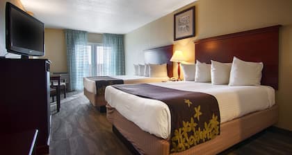 Gold Leaf Hotel of Dewey - Rehoboth Beach
