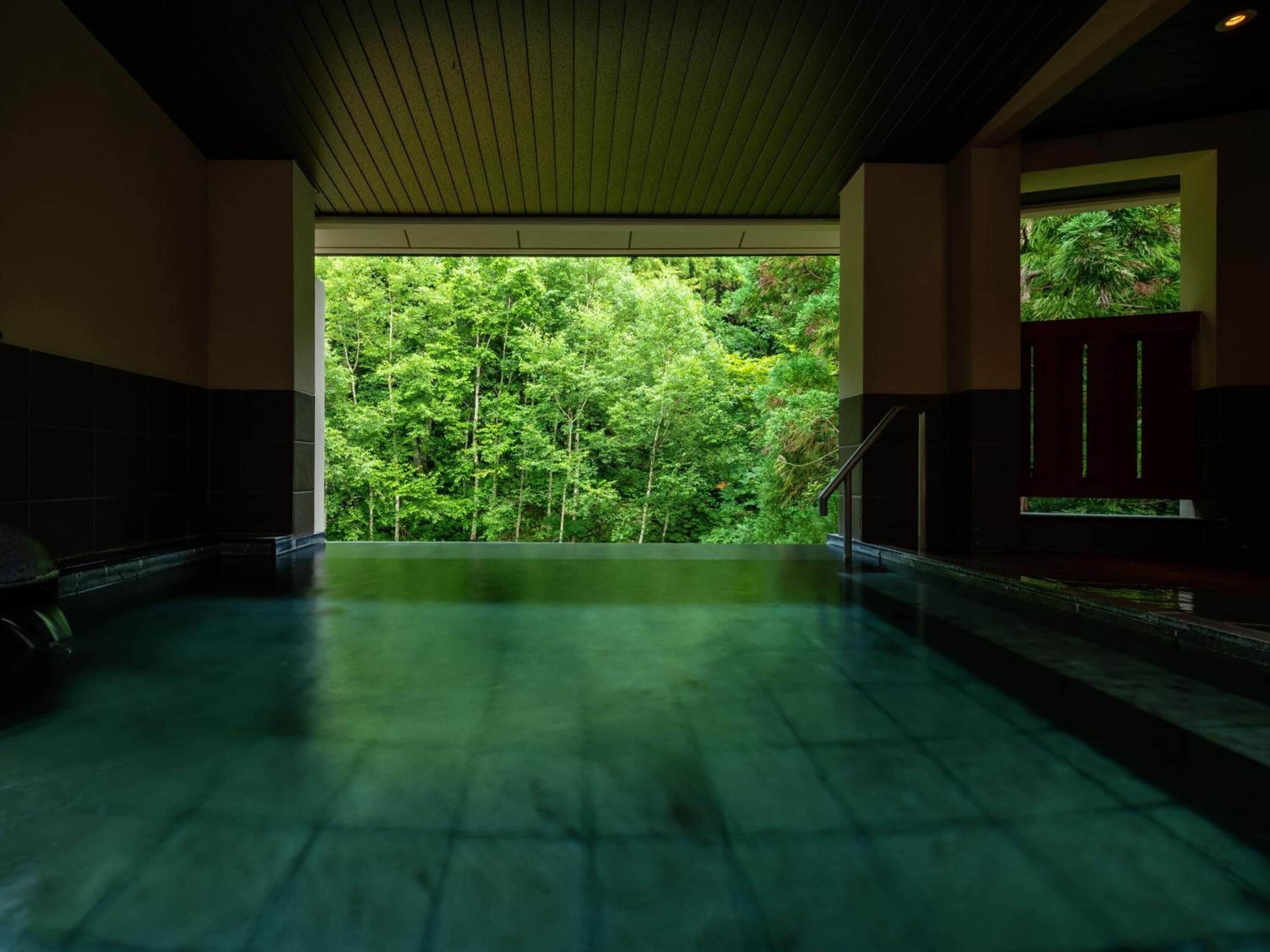 A spacious indoor area with a view of a dense forest through a large window.