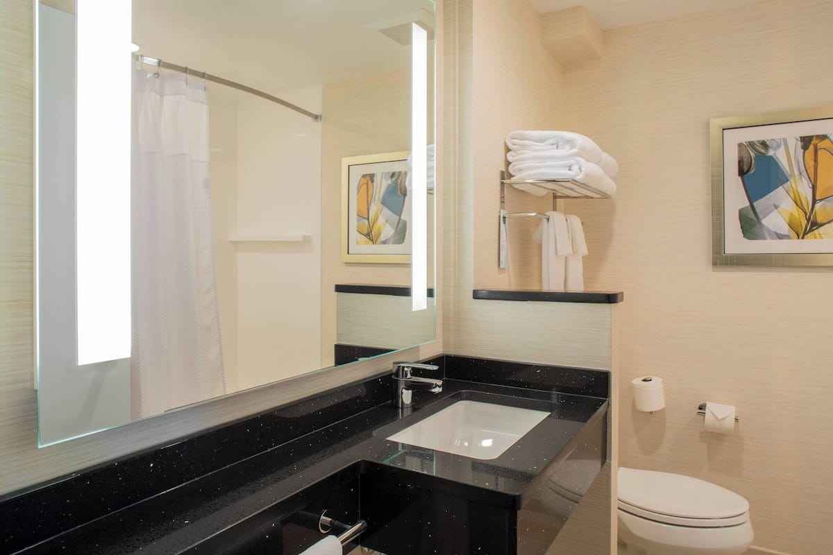 executive room, 1 king bed | bathroom | eco-friendly toiletries, hair dryer, towels, soap