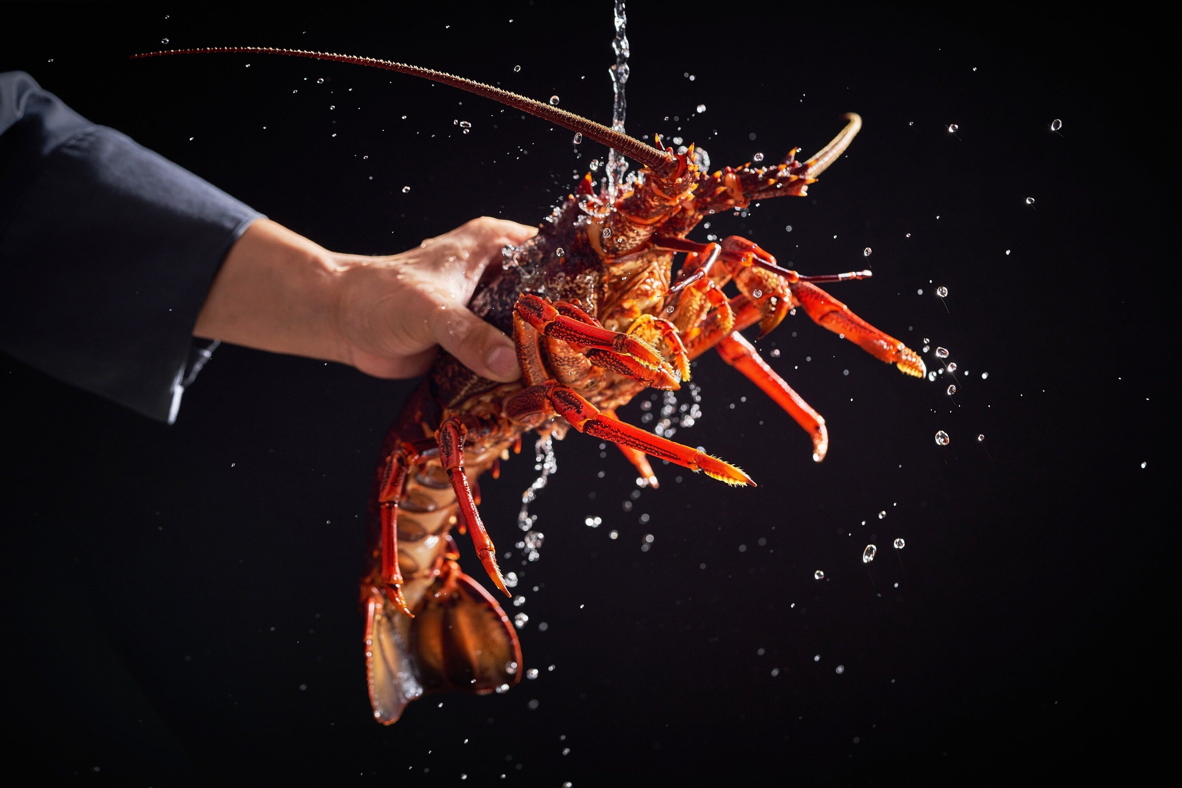 A hand holding a lobster with water splashing around it.