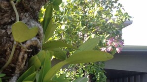 Lobby sitting area - Green Garden Resort (Nakhon Ratchasima)