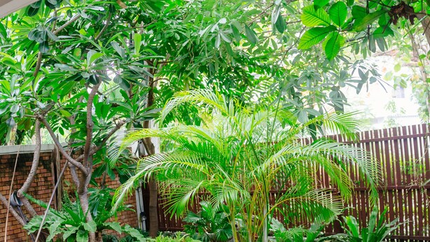 A pool area with potted plants and a wooden deck. - Laidback Place Apartment (Bangkok)