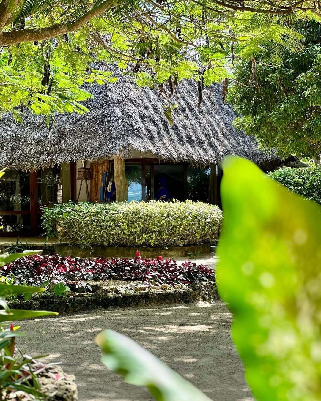 A thatched-roof hut with a garden in front.