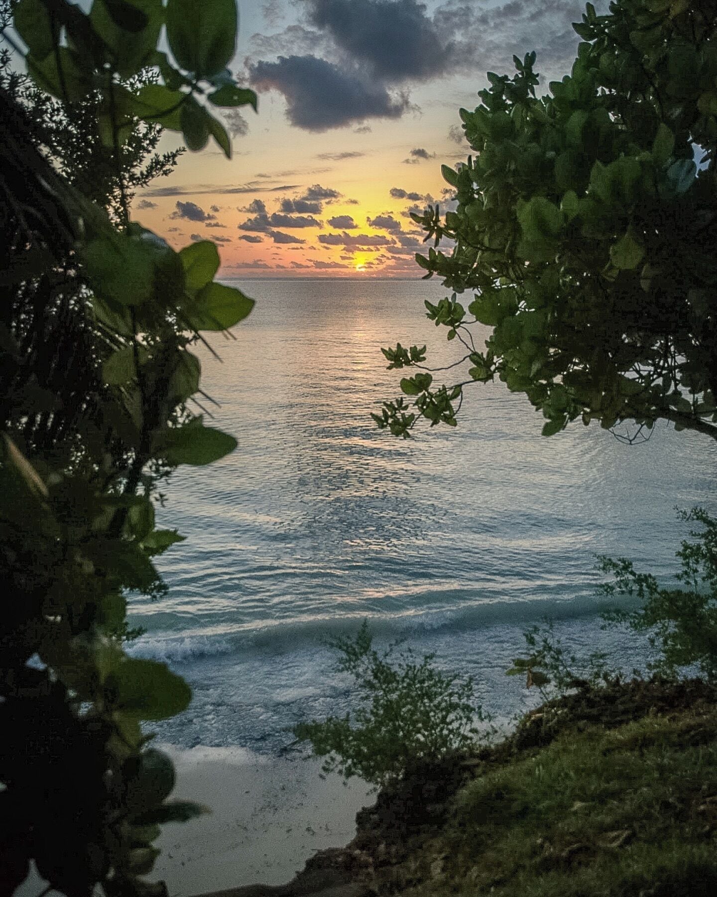 A coastal scene with a sunset, calm sea, and greenery framing the view.