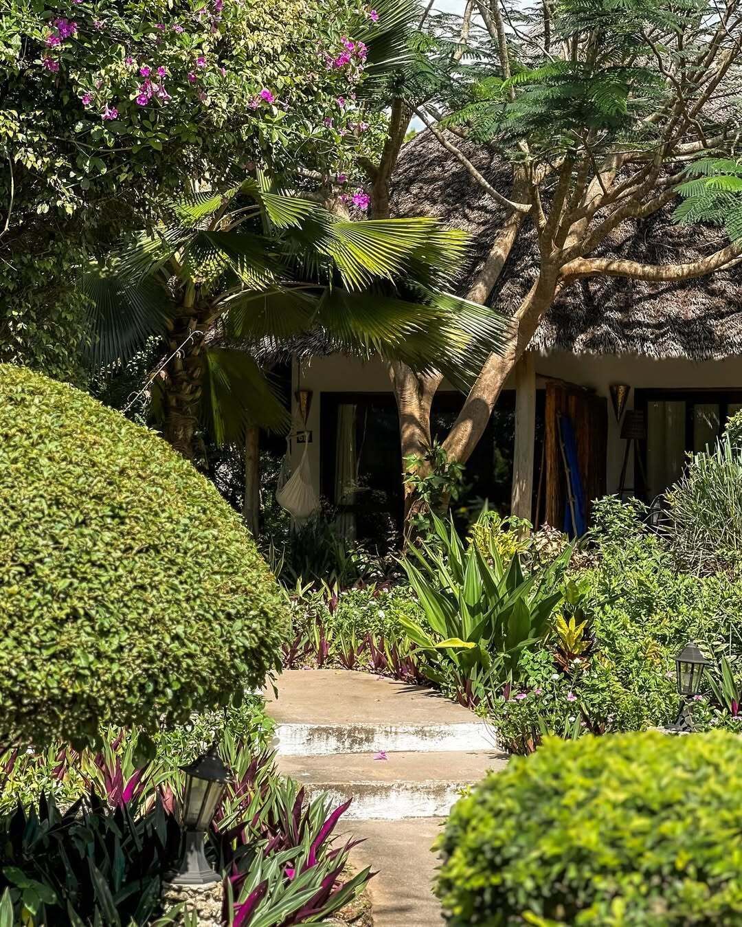 A lush garden with various plants and a pathway leading to a building.