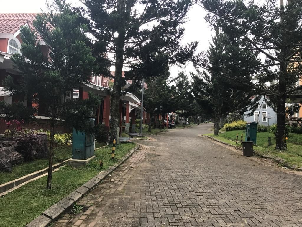 A paved residential street lined with trees and houses.