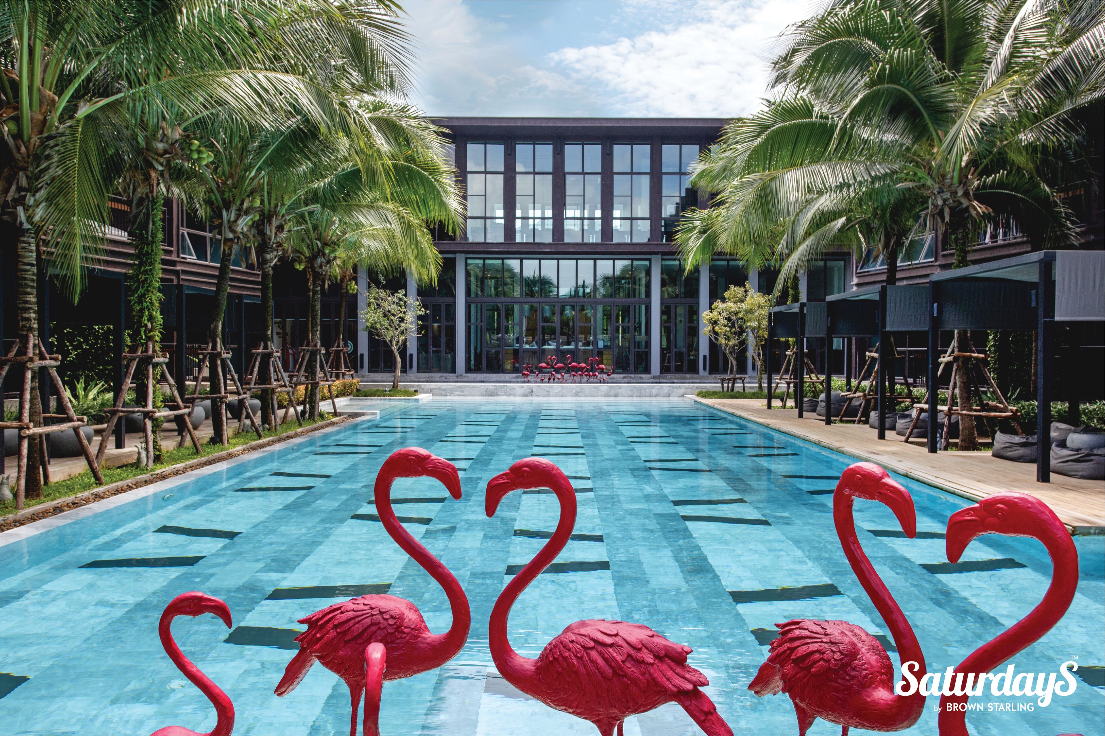 2 室外游泳池，日光浴躺椅