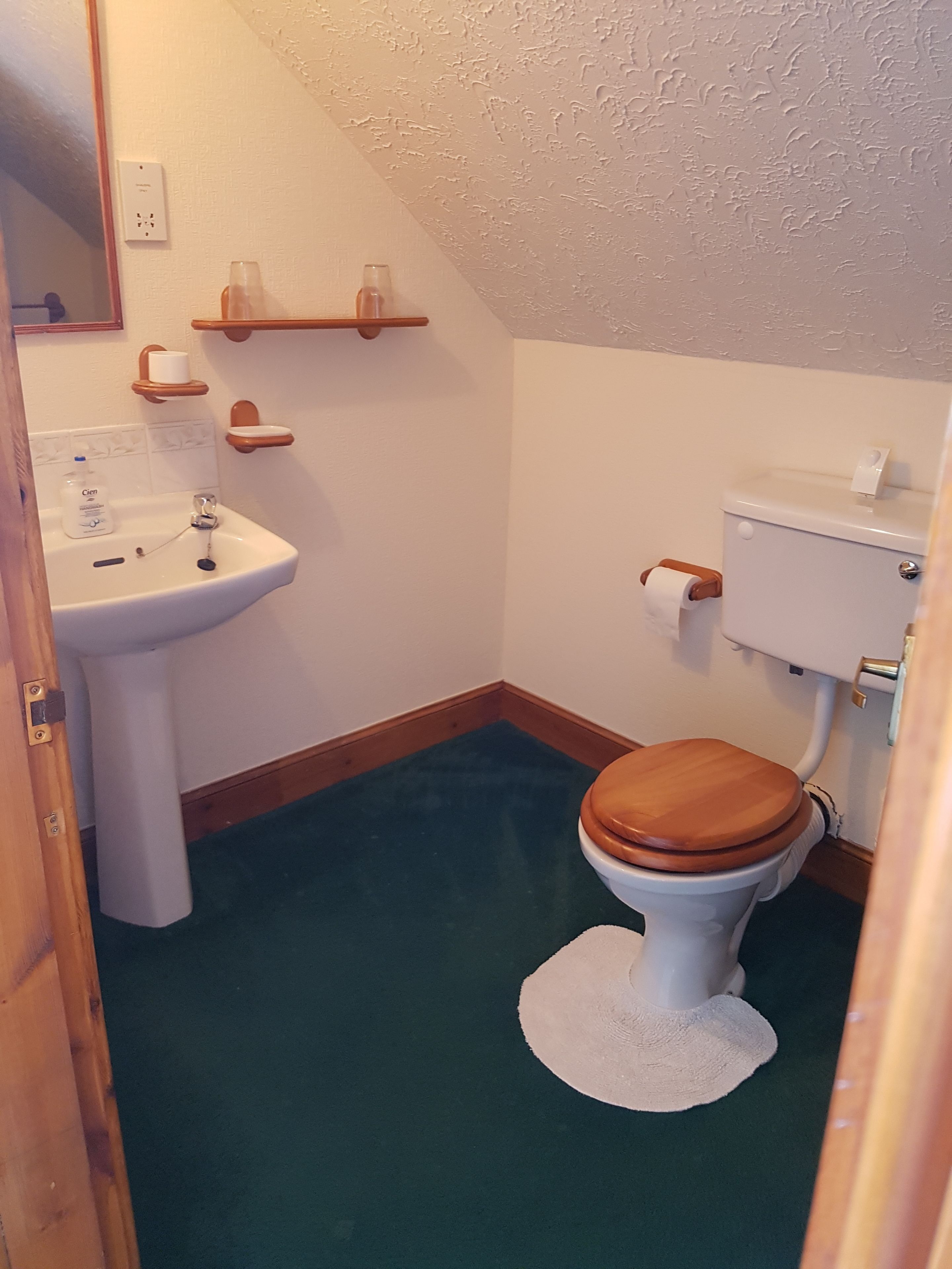 A bathroom with a white sink, wooden toilet, and a green floor.