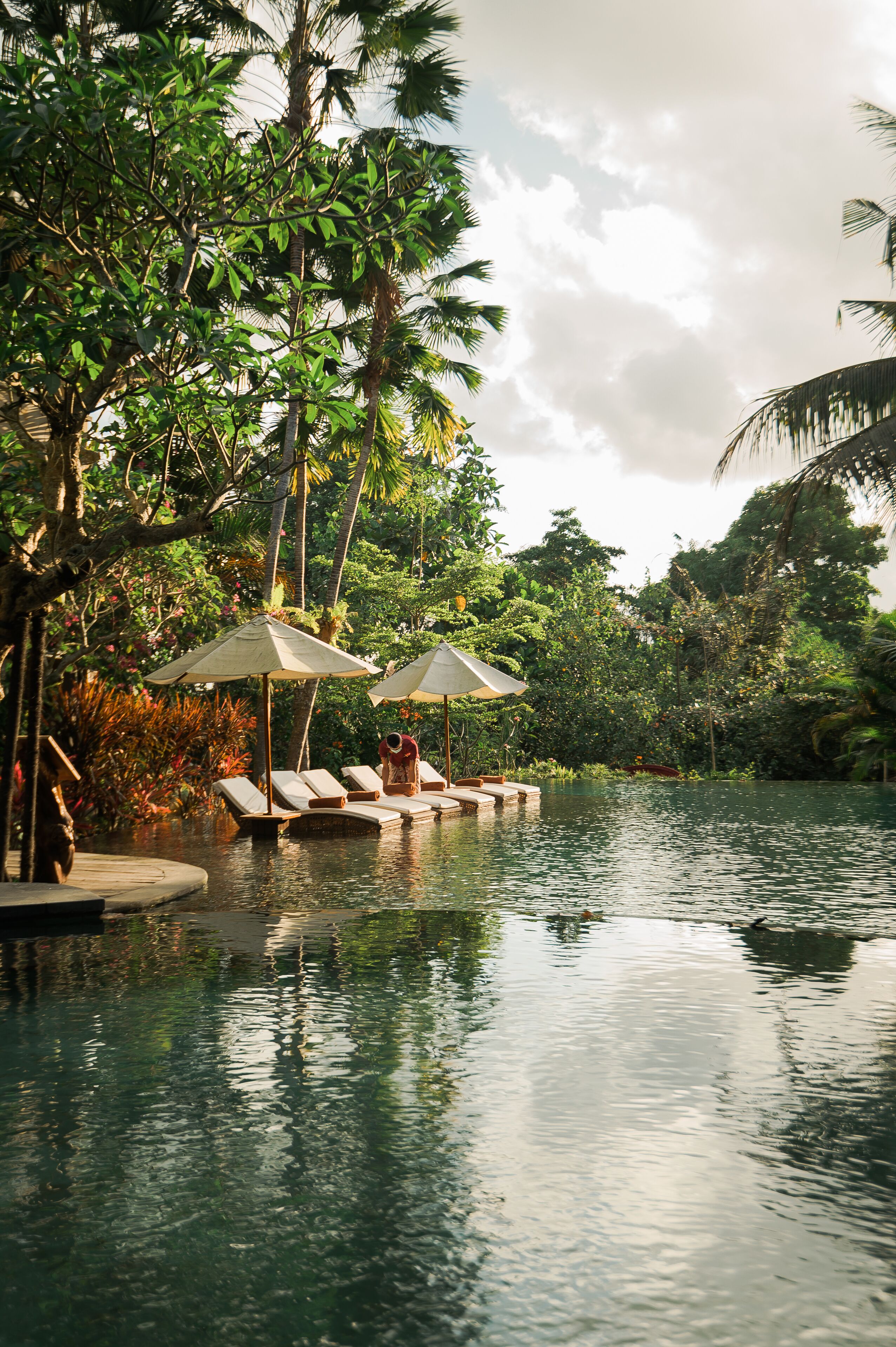 A serene pool area with lounge chairs and umbrellas, surrounded by lush tropical vegetation.