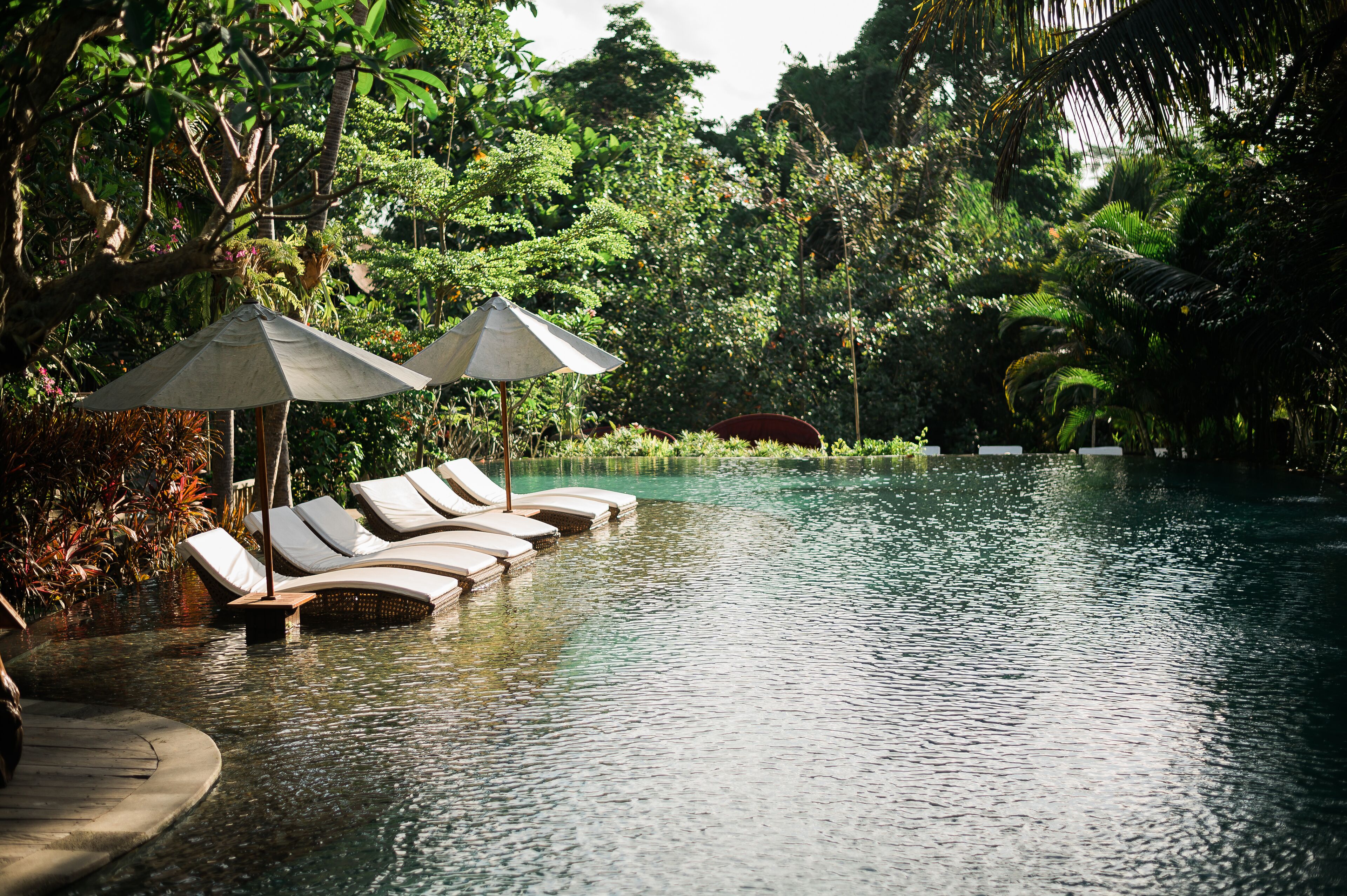 An infinity pool with lounge chairs and umbrellas, surrounded by lush greenery.