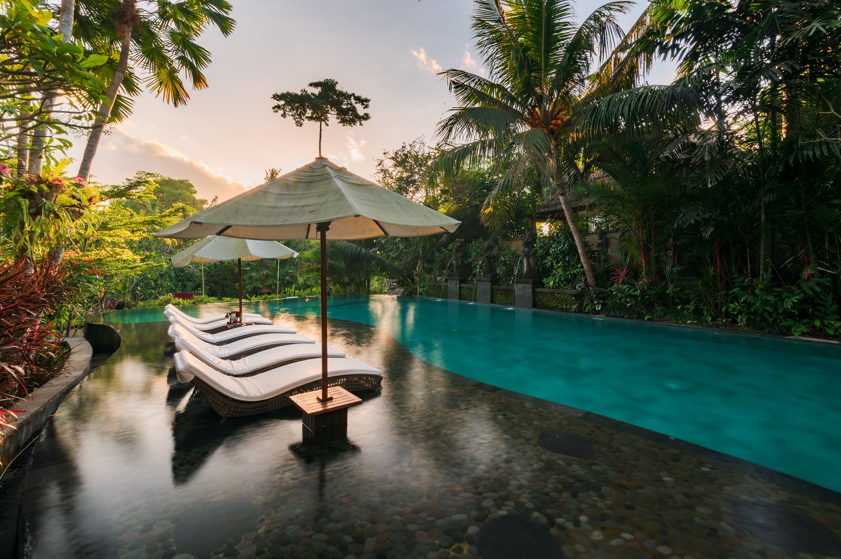 A poolside area with lounge chairs and an umbrella, surrounded by lush greenery and palm trees.