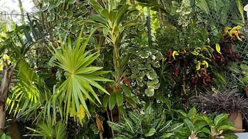 Mặt tiền nơi lưu trú