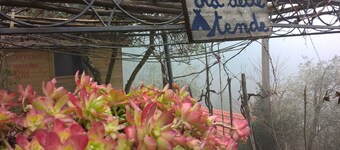 B&B Cinqueterre Il filo di Arianna