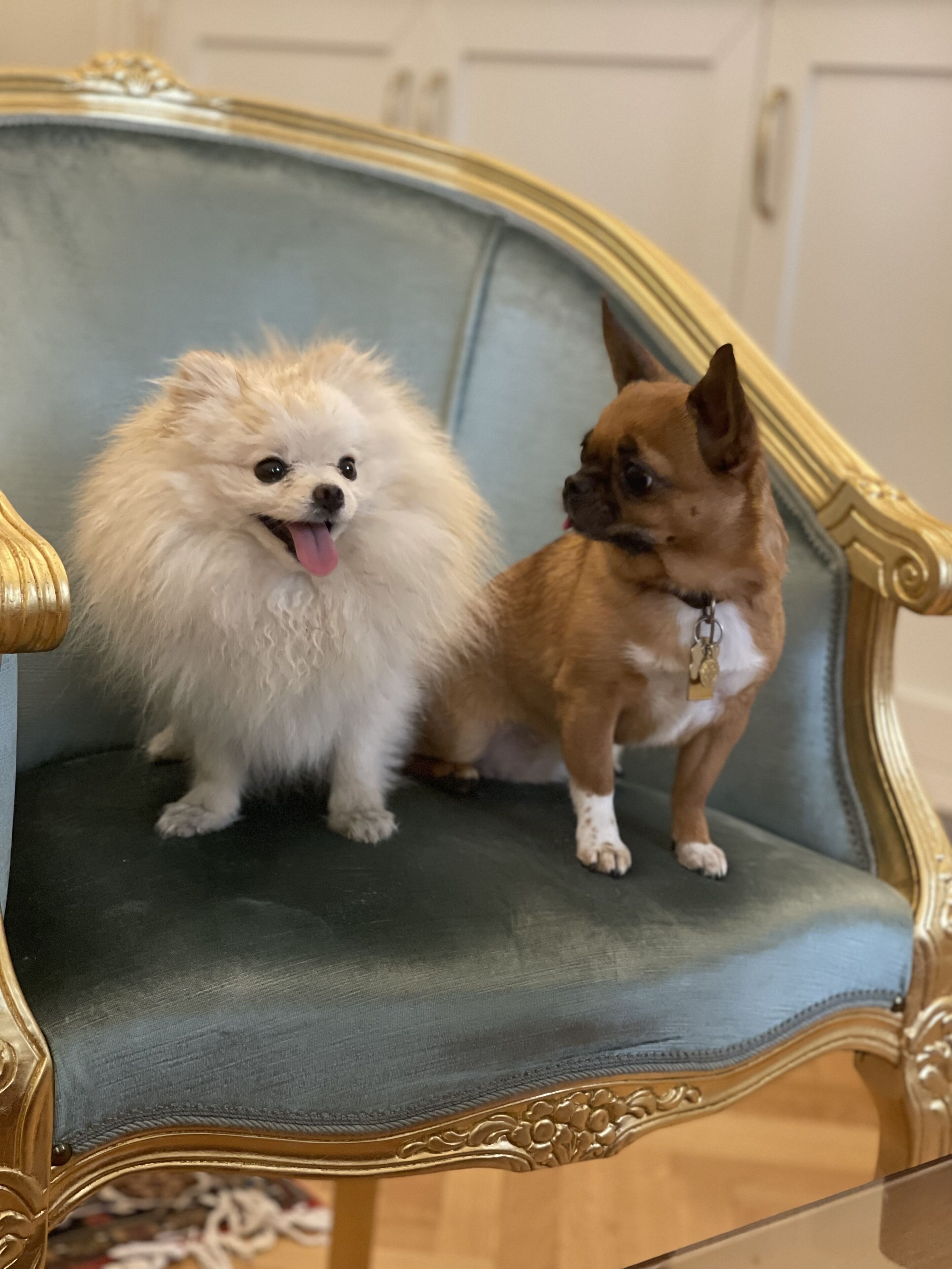 Photo - Palazzo Monga Boutique Guesthouse