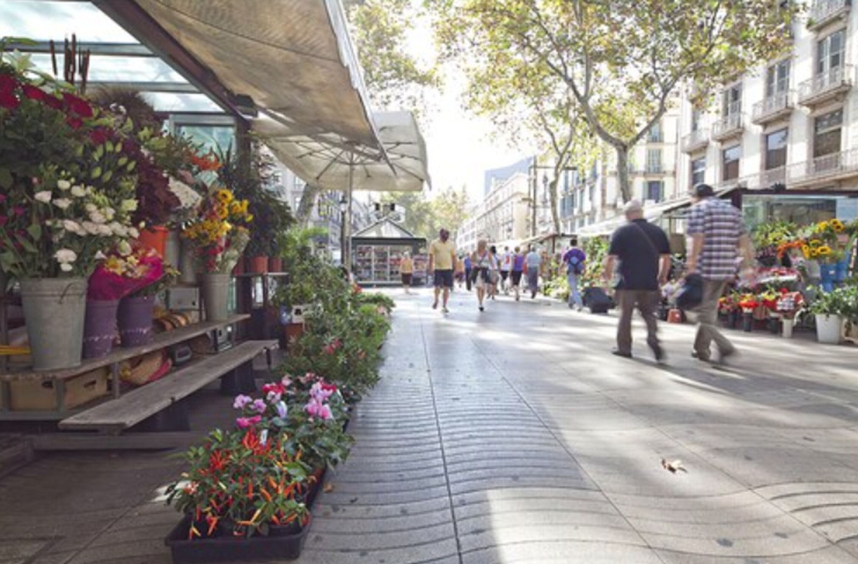 Un marché en plein air où divers stands proposent des fleurs et des plantes à la vente.