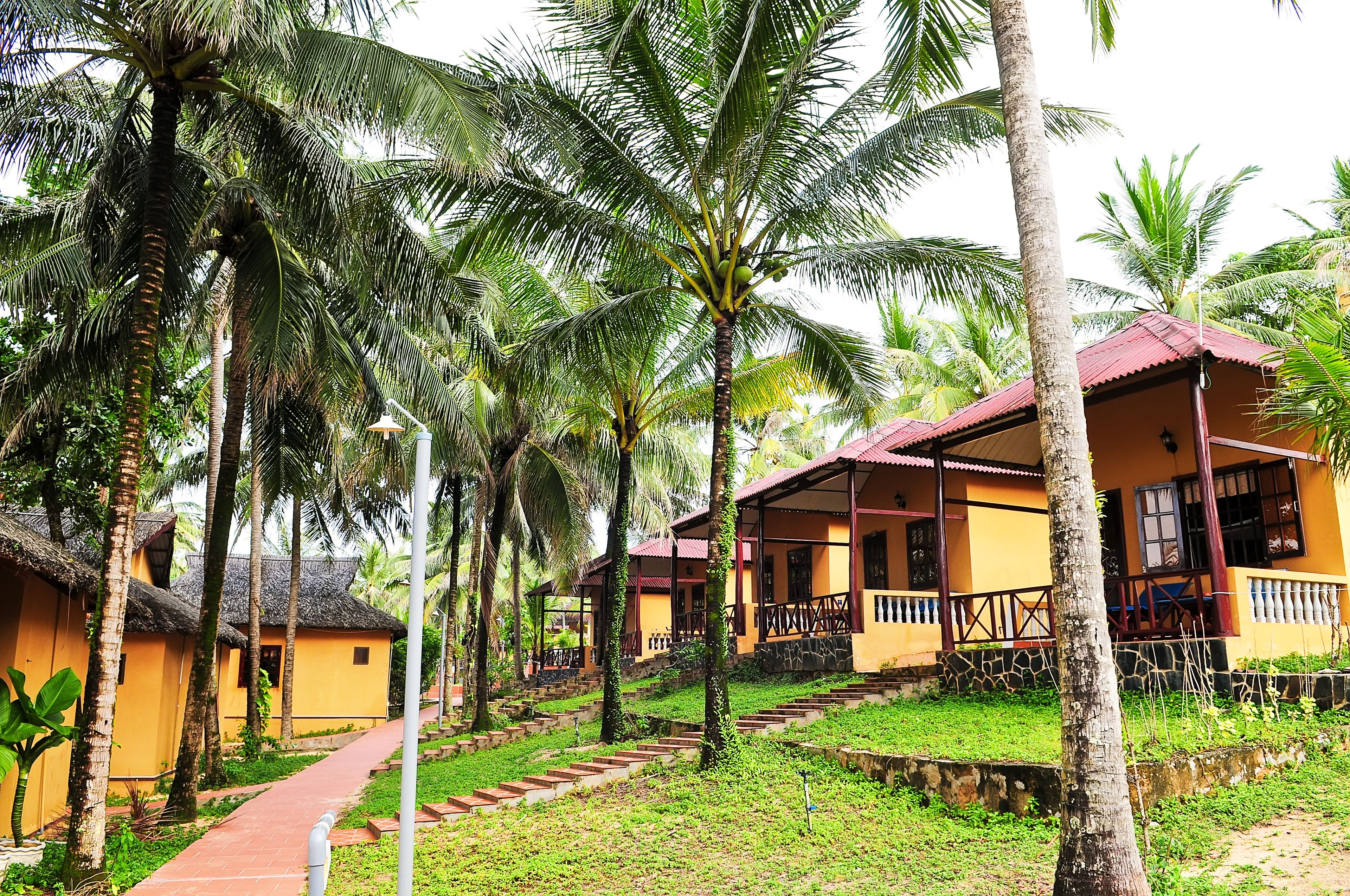 A row of yellow buildings with red roofs, surrounded by palm trees and a paved walkway.