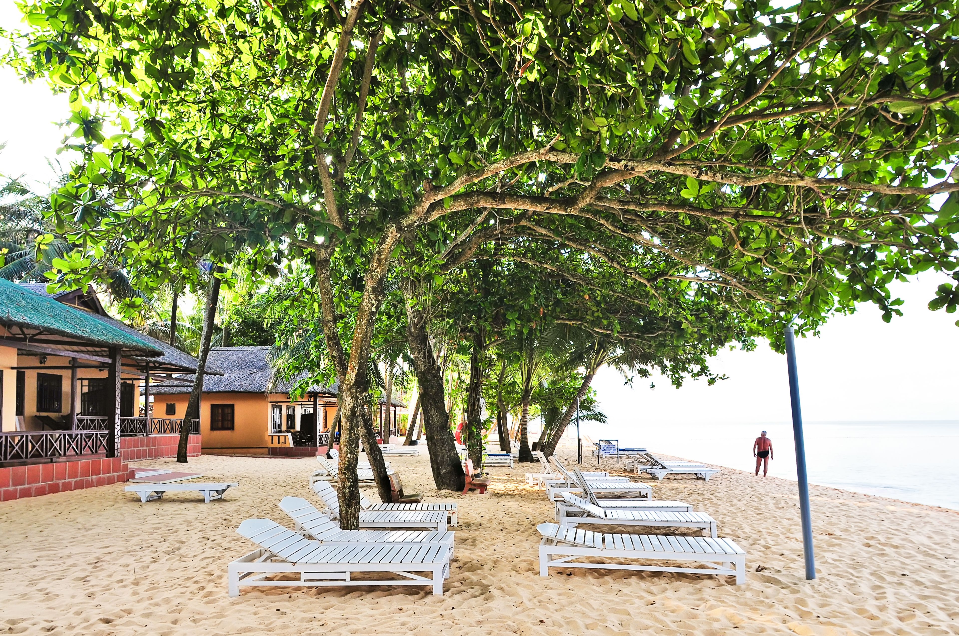 Beach Front Bungalow | View from room