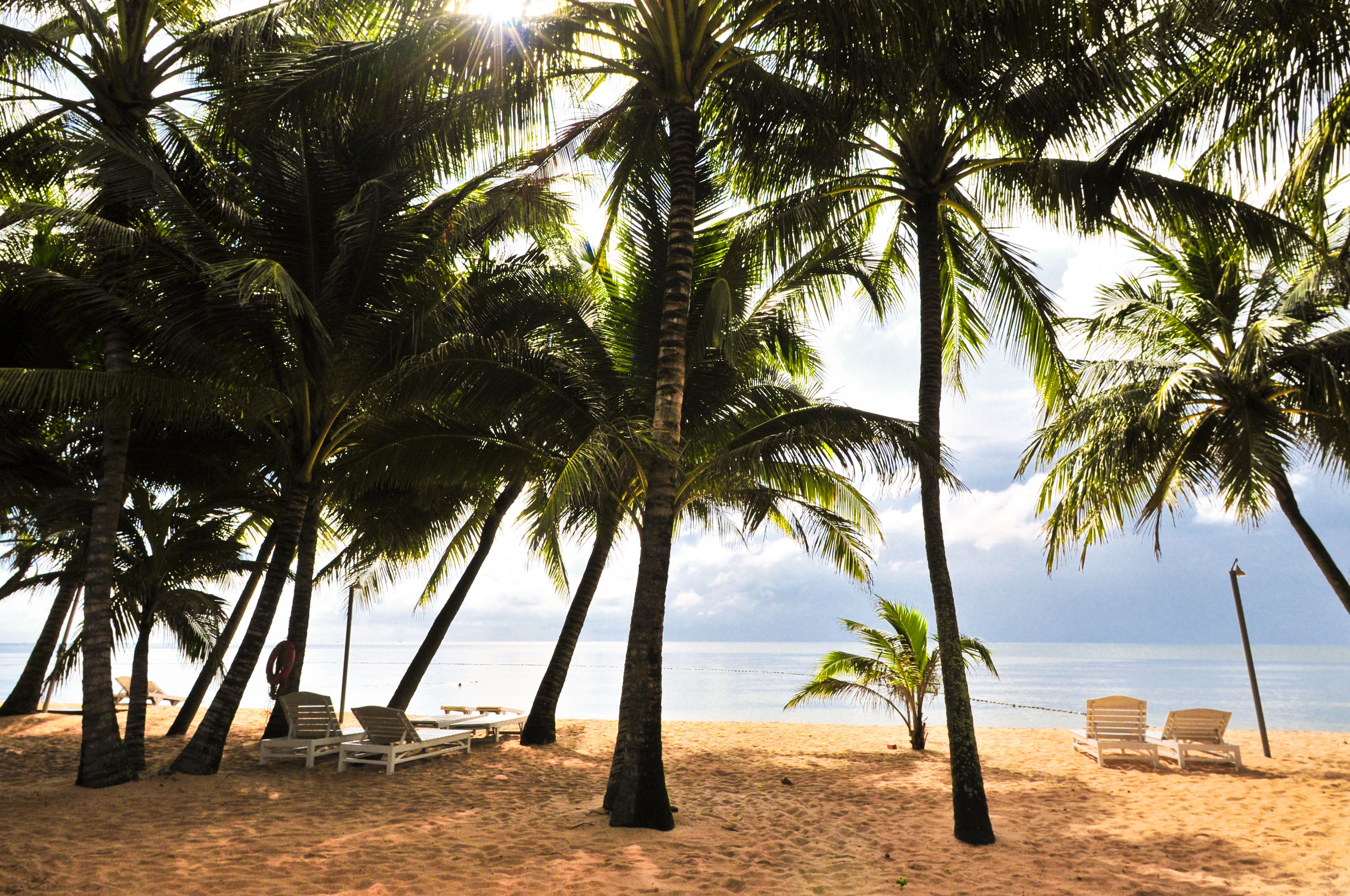 Foto - Sea Star Resort