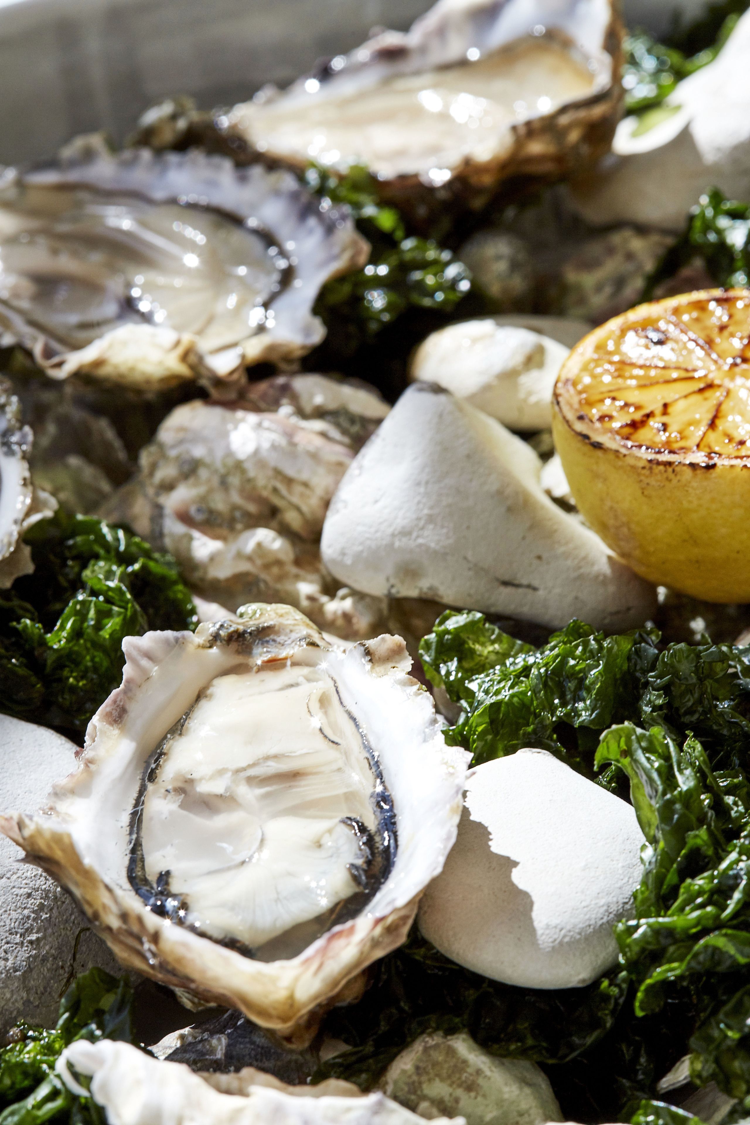 A close-up of oysters, lemon, and greens.