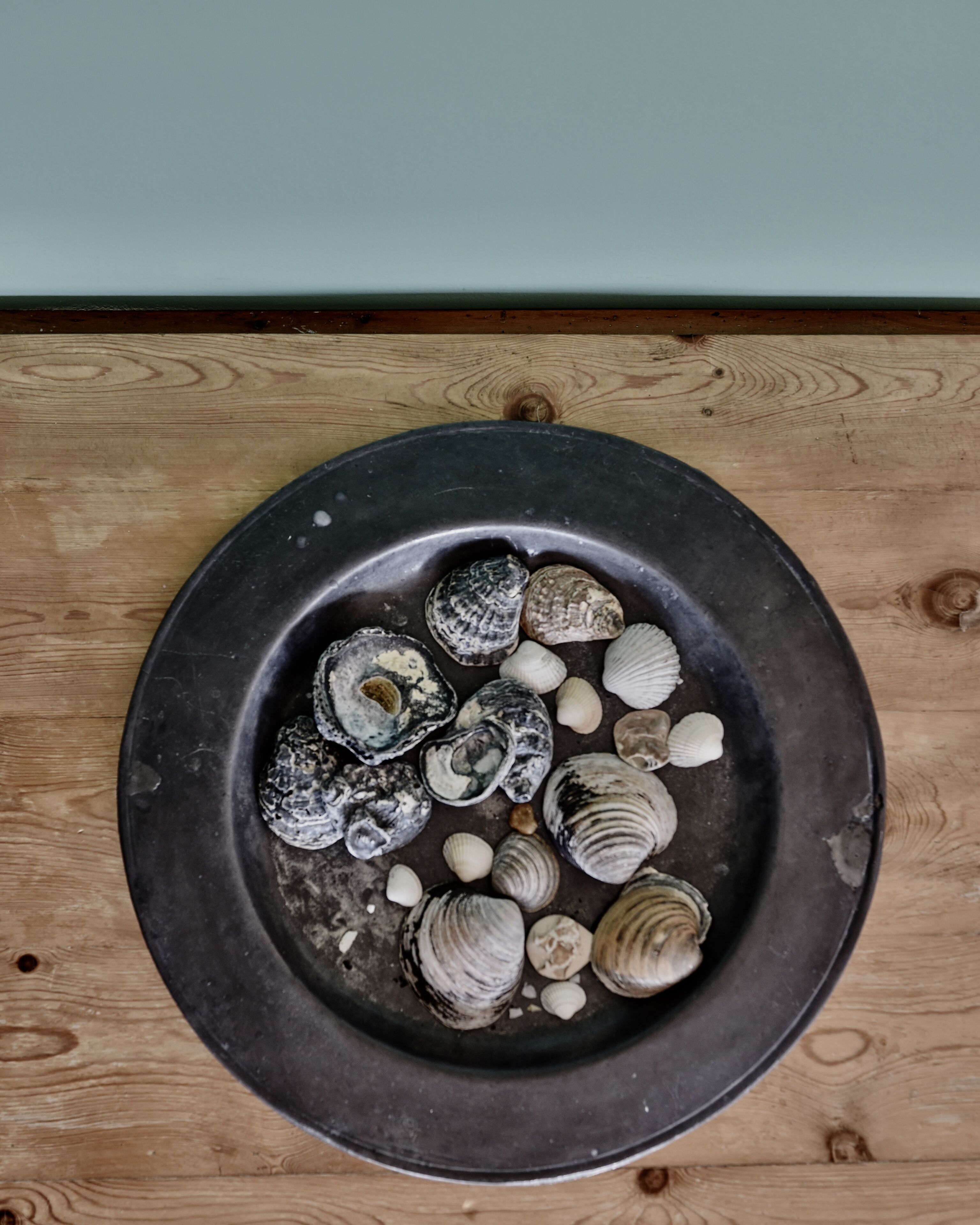 A round metal tray filled with various seashells placed on a wooden surface.