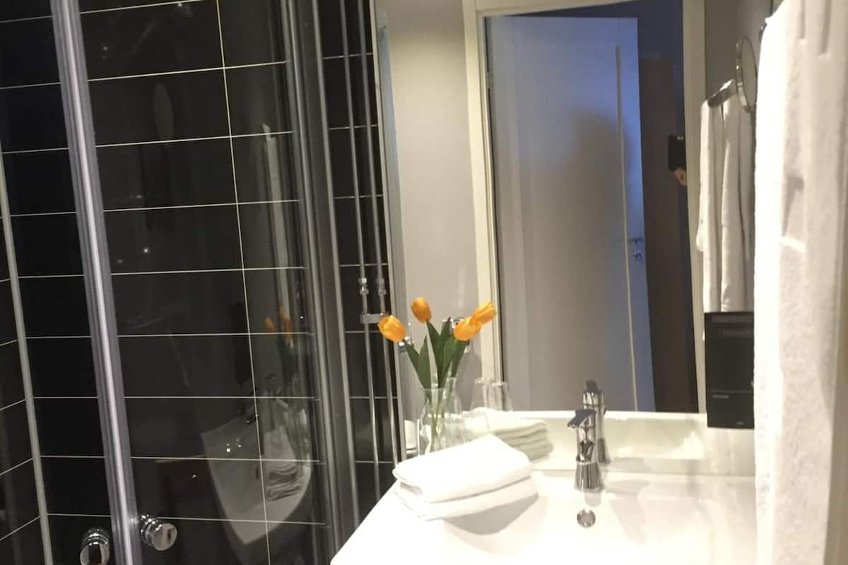 shower, free toiletries, hair dryer, slippers