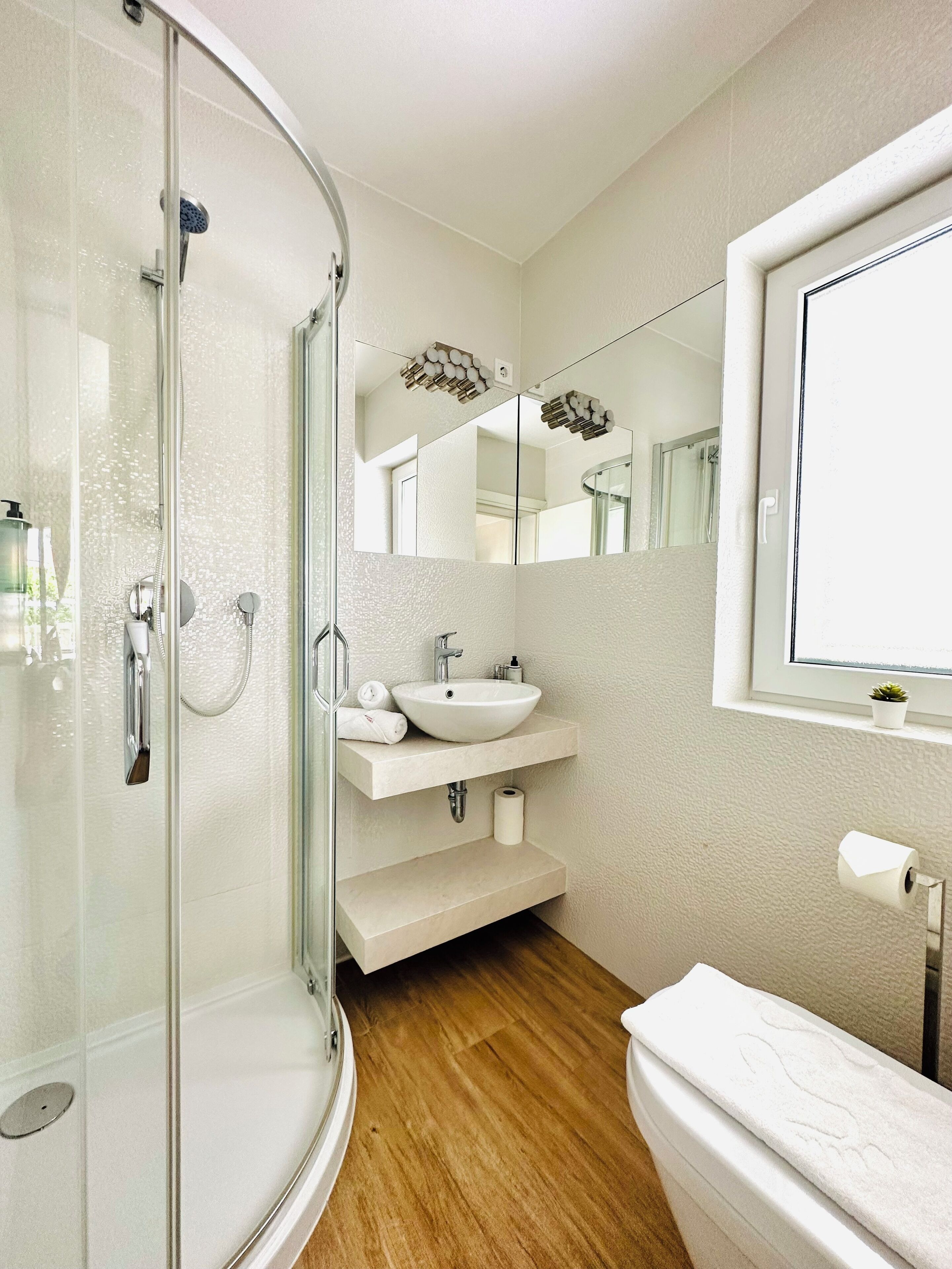 A modern bathroom with a glass shower enclosure, a white sink, and a toilet.