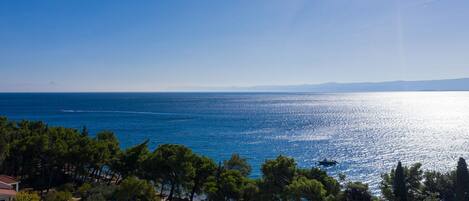 A coastal view with a clear sky, a boat on the water, and a forested area in the foreground.