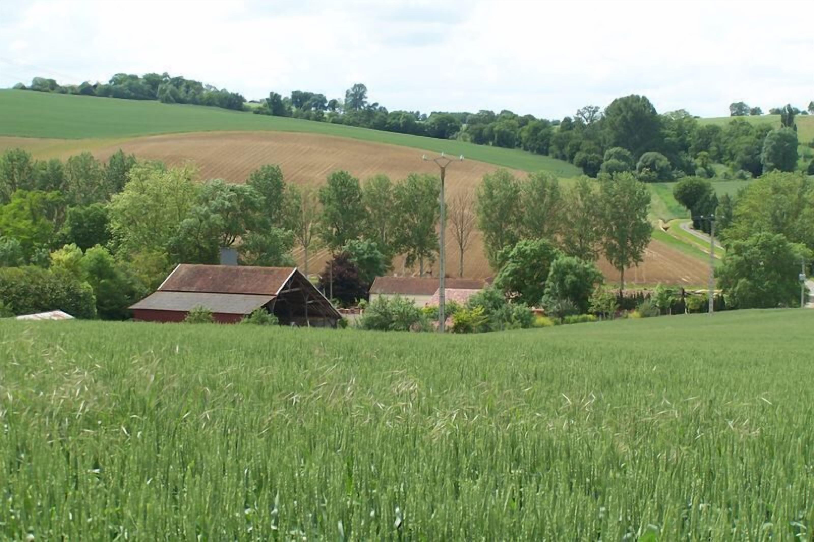 A rural landscape with fields, trees, and a small building.