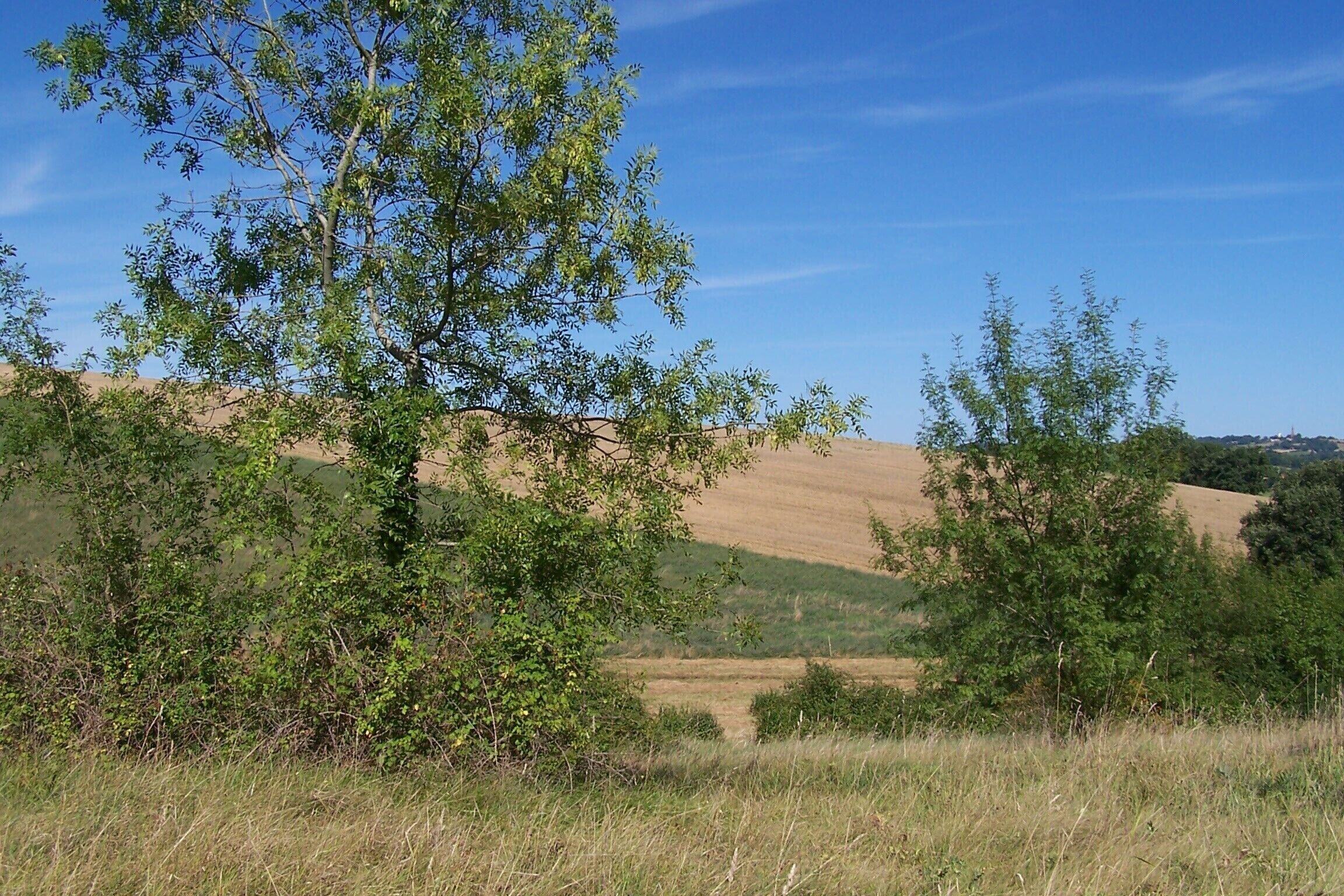 التنزّه سيراً على الأقدام