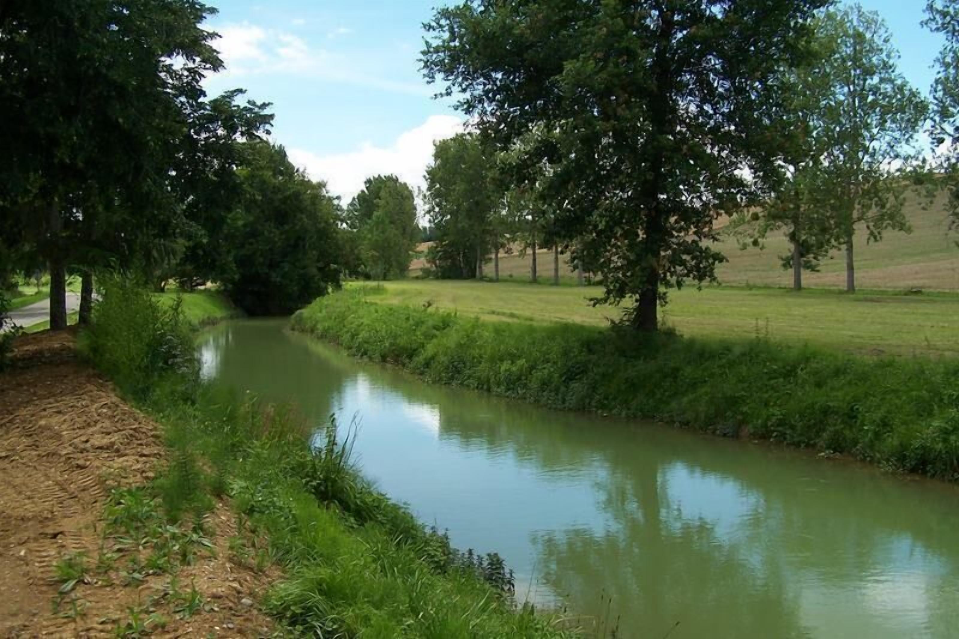 A calm river with trees on both sides, a grassy field in the background, and a dirt path on the left.