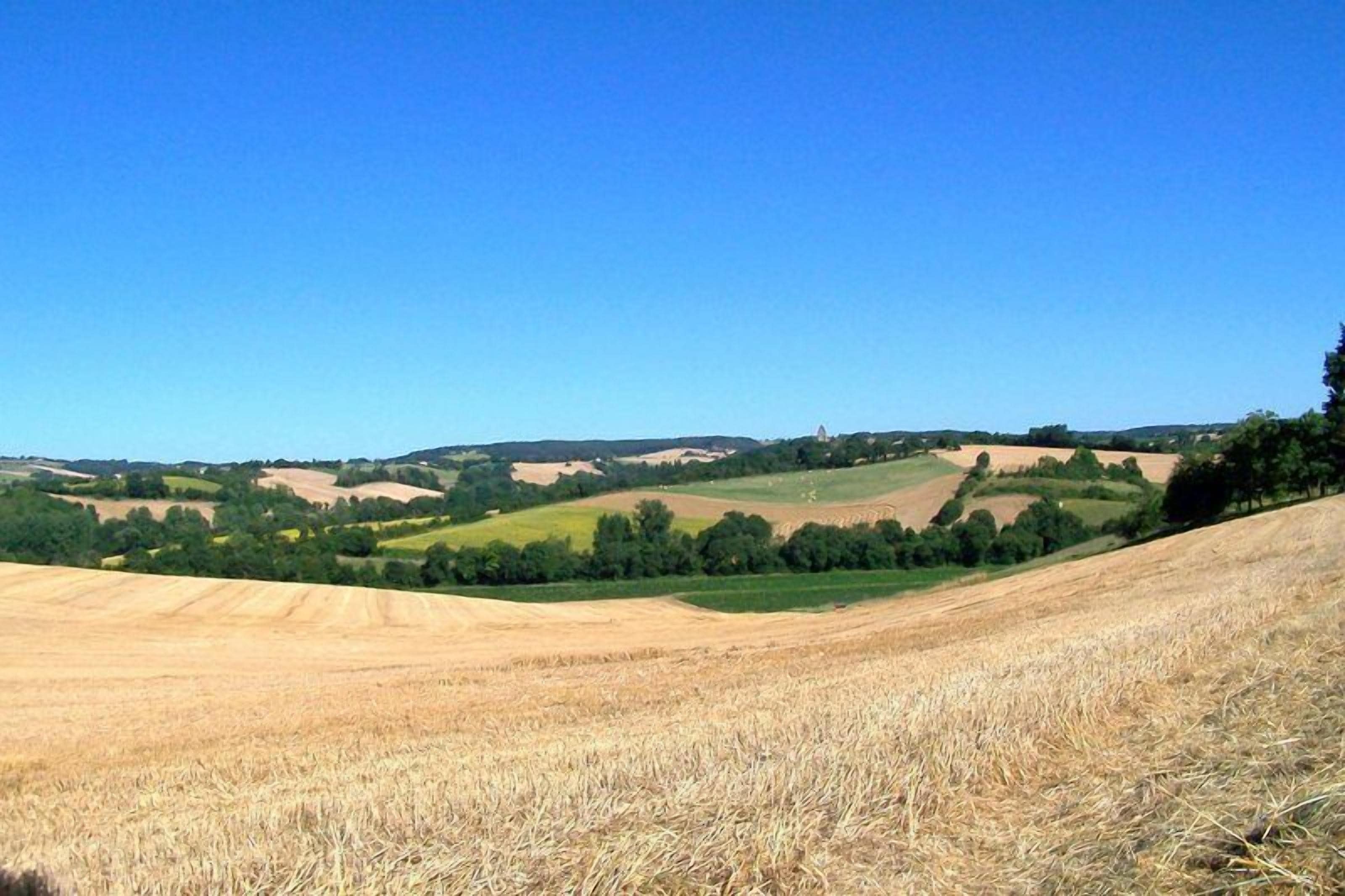A panoramic view of rolling hills with fields and a clear blue sky.