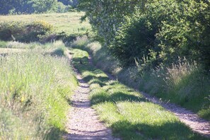 A narrow dirt path flanked by grass and shrubs, leading through a rural landscape. - Moulin d'Encor (Seysses-Saves)