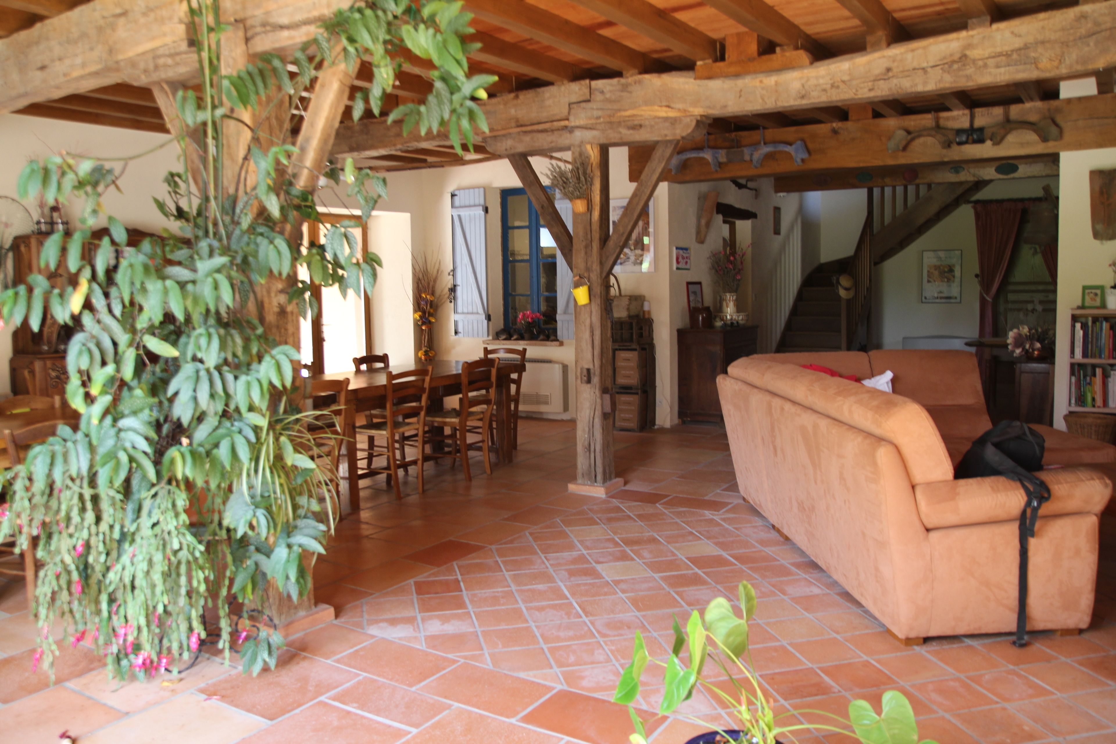 Amplia sala de estar con techo de madera, un sofá, una mesa de comedor con sillas y una planta en maceta.