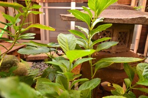 숙박 시설의 전망